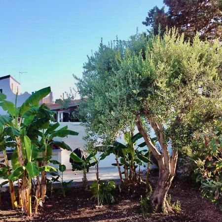 Villa Mare Blue Sr Nuovissima Villa 150M Dal Mare Adatta A Bambini Terrauzza エクステリア 写真