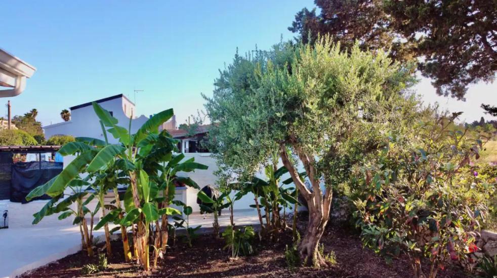 Villa Mare Blue Sr Nuovissima Villa 150M Dal Mare Adatta A Bambini Terrauzza エクステリア 写真